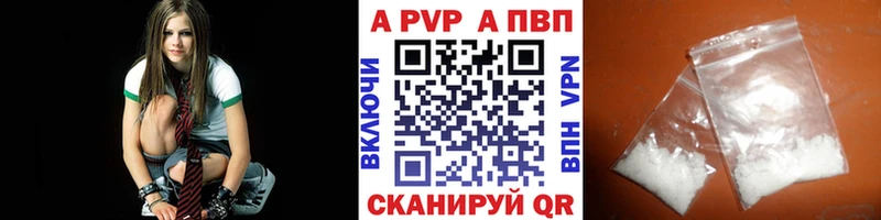 A PVP СК КРИС  Белгород 
