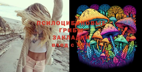Альфа ПВП Богородицк