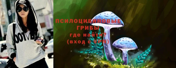 эйфоретик Богородск