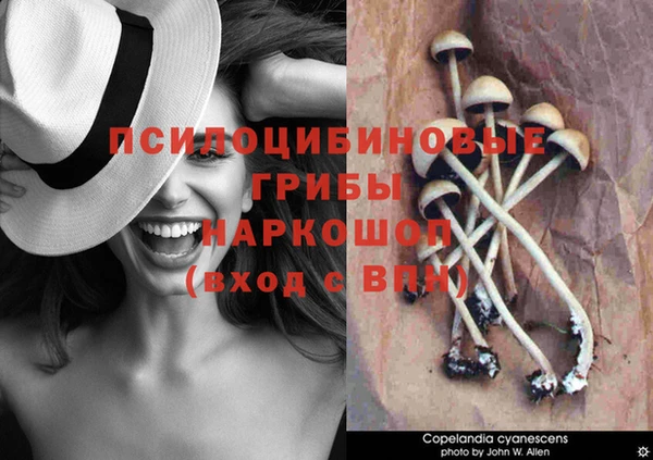 трава Богданович