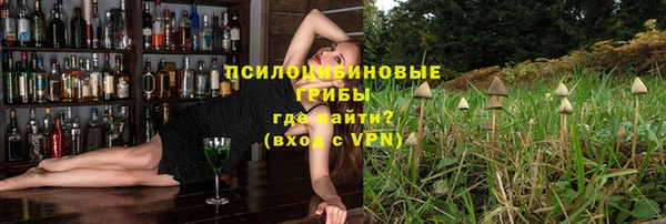 эйфоретик Богородск
